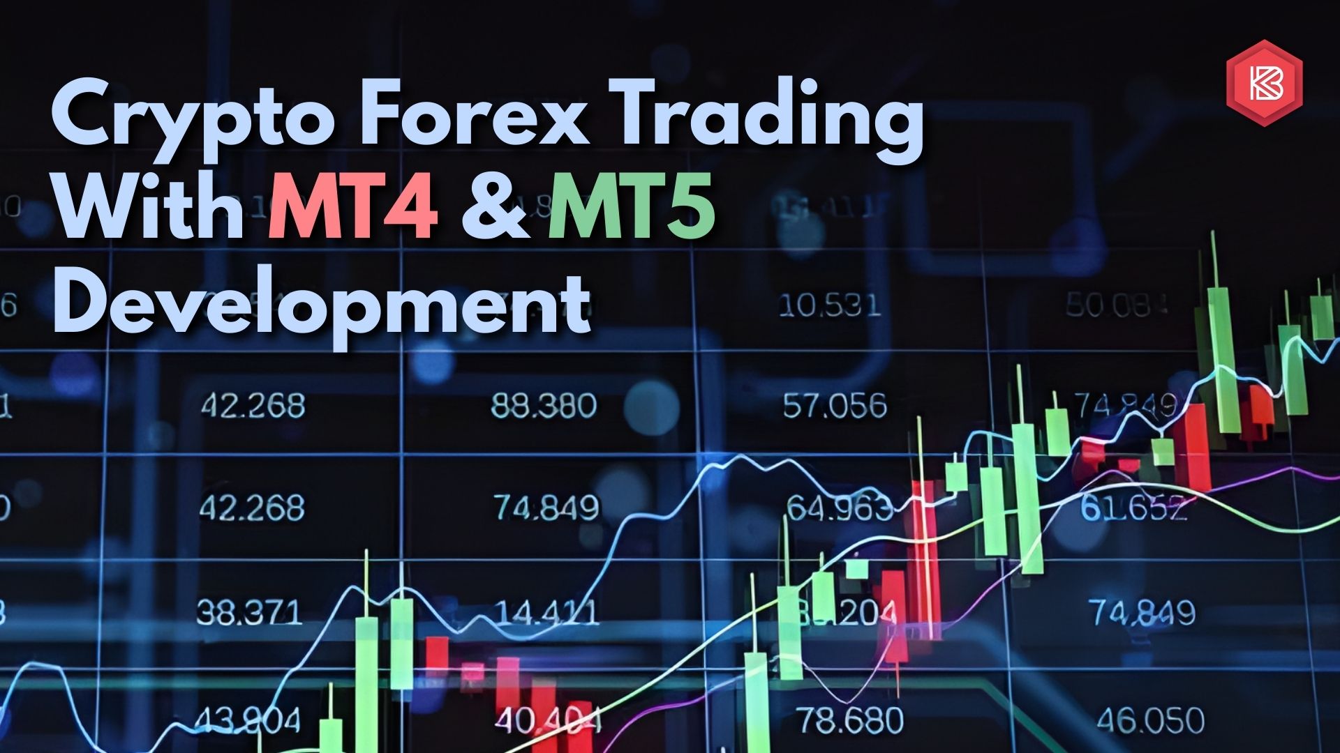 What to Look for in a Reliable Crypto Forex Trading Platform