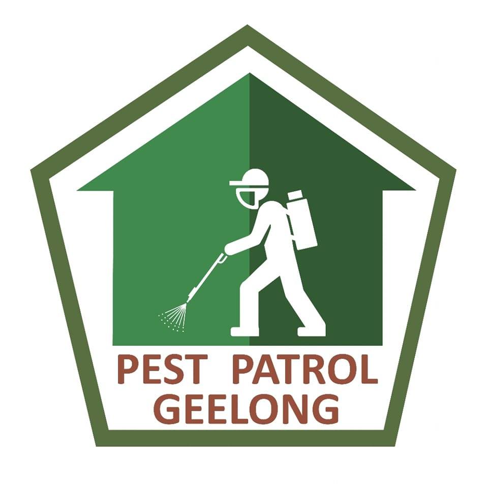 Residential Pest Control in Geelong
