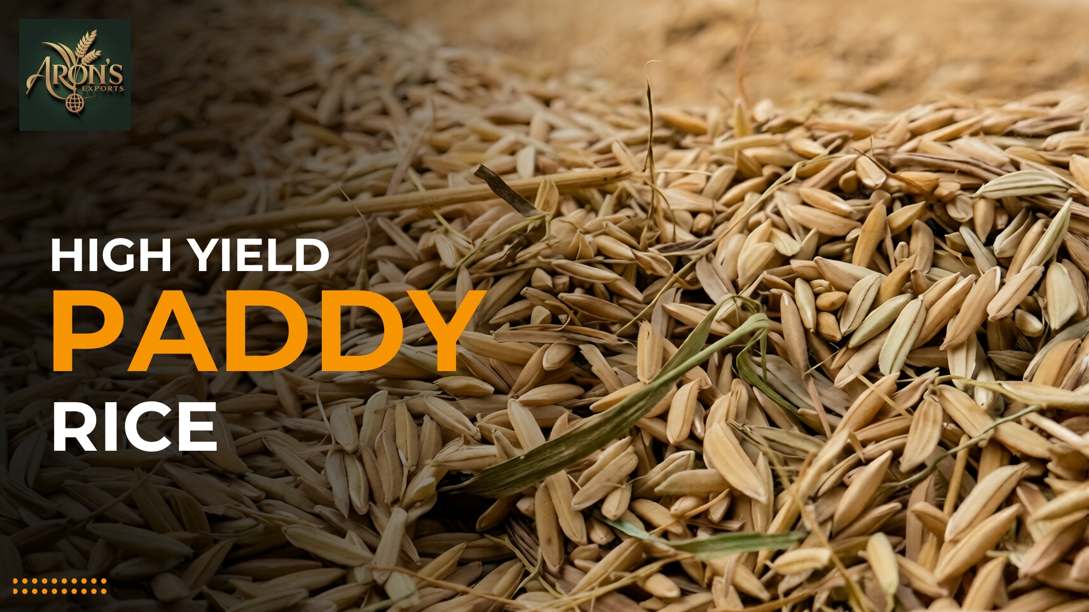 Top Benefits of High Yield Paddy Rice for Commercial Farming