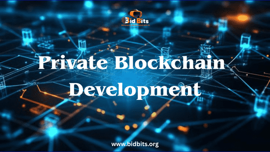 How Private Blockchain Development Uses Permissioned Architecture