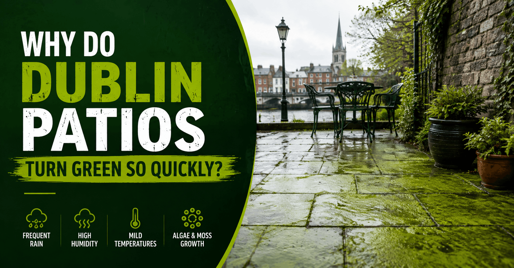 Why Do Dublin Patios Turn Green So Quickly?